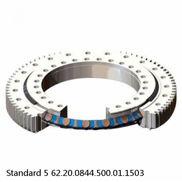 62.20.0844.500.01.1503 Standard 5 Slewing Ring Bearings