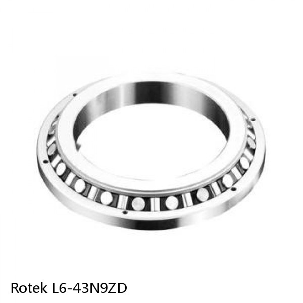 L6-43N9ZD Rotek Slewing Ring Bearings
