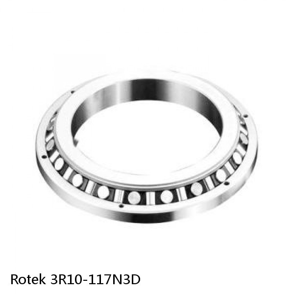 3R10-117N3D Rotek Slewing Ring Bearings #1 small image
