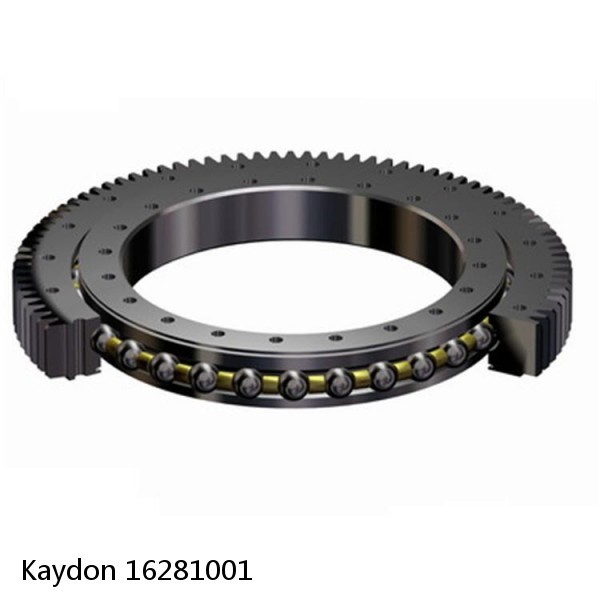 16281001 Kaydon Slewing Ring Bearings