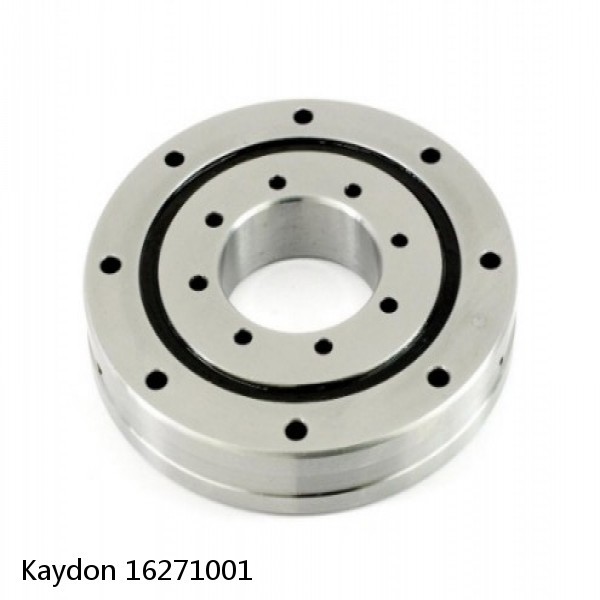 16271001 Kaydon Slewing Ring Bearings #1 small image