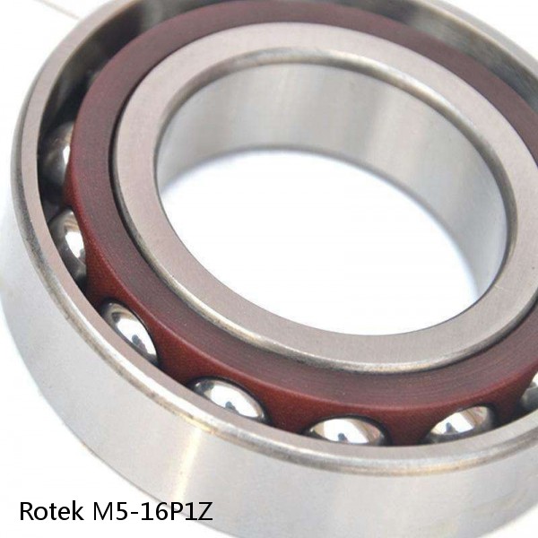 M5-16P1Z Rotek Slewing Ring Bearings