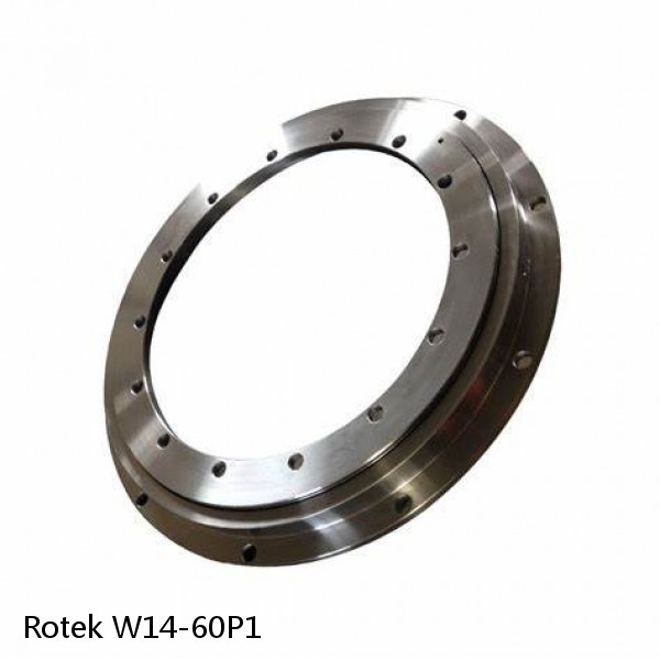 W14-60P1 Rotek Slewing Ring Bearings #1 small image