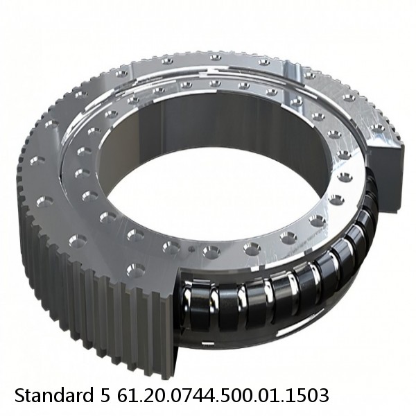 61.20.0744.500.01.1503 Standard 5 Slewing Ring Bearings #1 small image