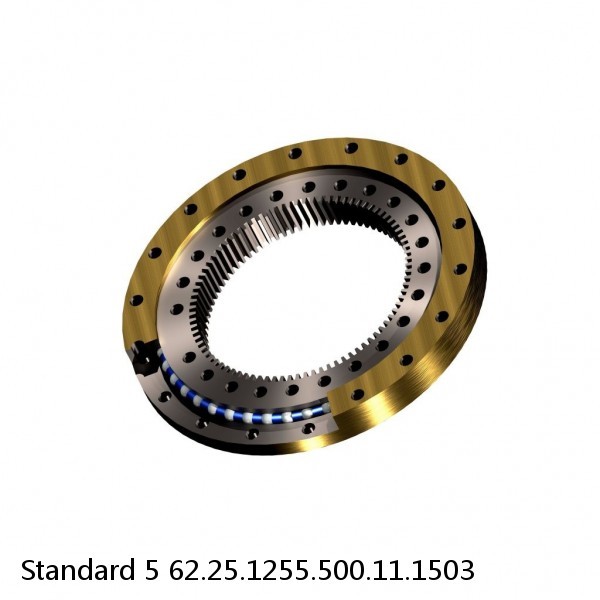 62.25.1255.500.11.1503 Standard 5 Slewing Ring Bearings #1 small image