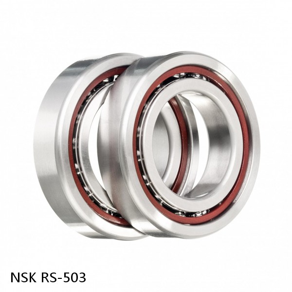 RS-503 NSK CYLINDRICAL ROLLER BEARING #1 small image