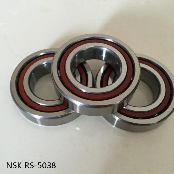 RS-5038 NSK CYLINDRICAL ROLLER BEARING #1 small image