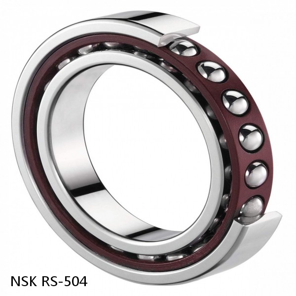 RS-504 NSK CYLINDRICAL ROLLER BEARING #1 small image