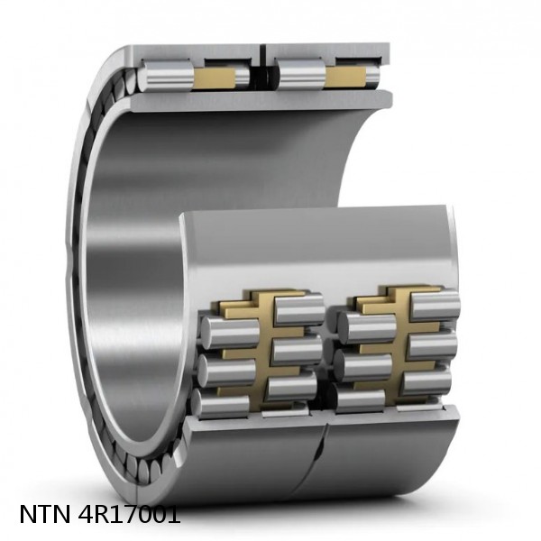 4R17001 NTN Cylindrical Roller Bearing #1 small image
