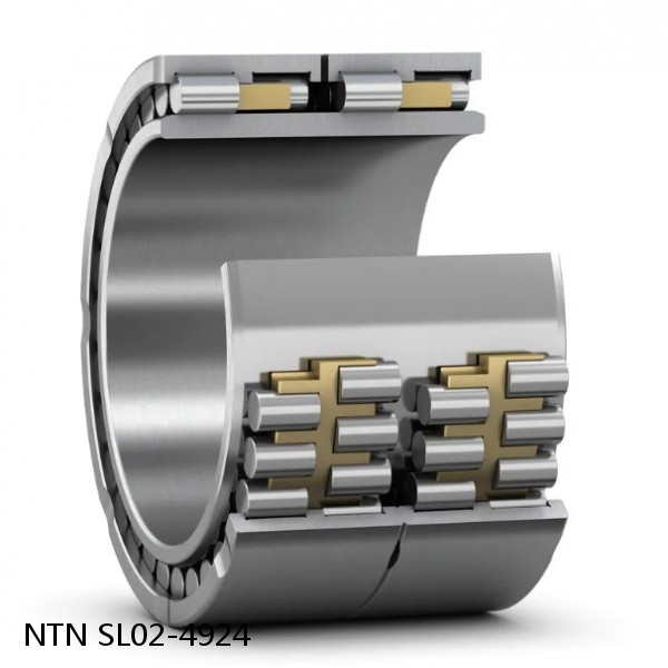 SL02-4924 NTN Cylindrical Roller Bearing #1 small image