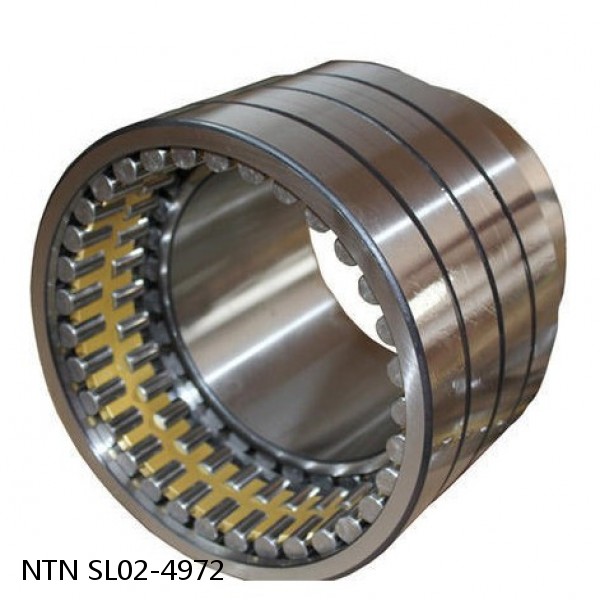 SL02-4972 NTN Cylindrical Roller Bearing #1 small image