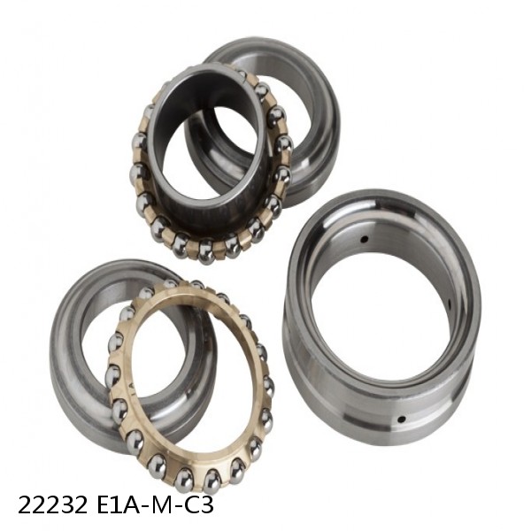 22232 E1A-M-C3          Needle Non Thrust Roller Bearings