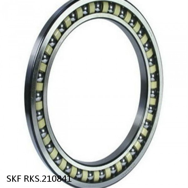 RKS.210841 SKF Slewing Ring Bearings #1 image