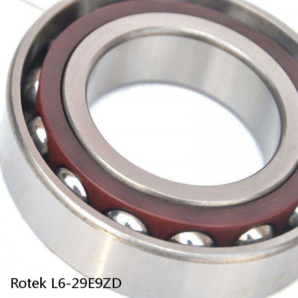 L6-29E9ZD Rotek Slewing Ring Bearings #1 image
