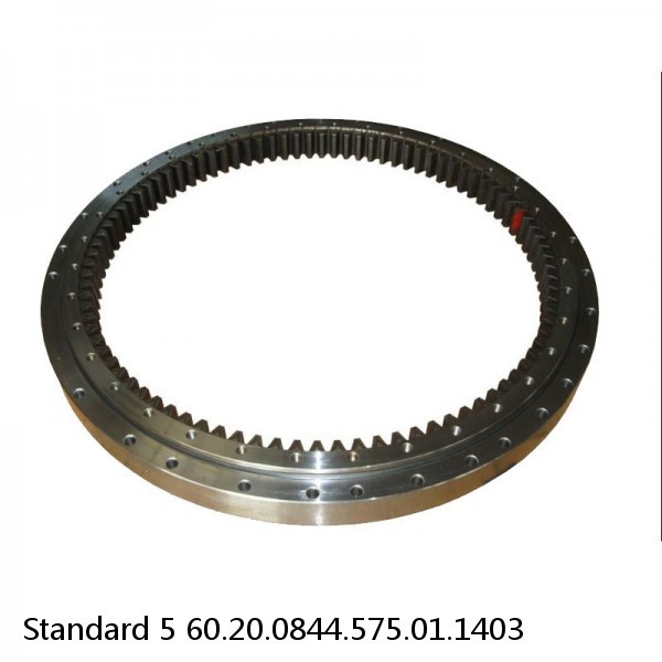 60.20.0844.575.01.1403 Standard 5 Slewing Ring Bearings #1 image