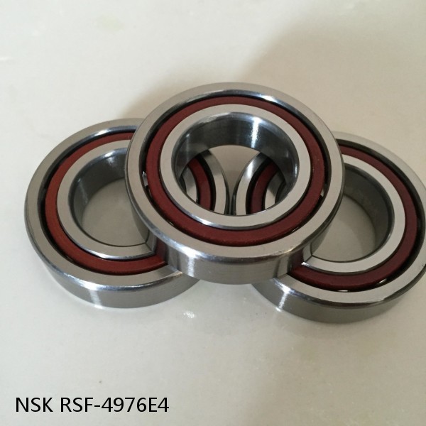 RSF-4976E4 NSK CYLINDRICAL ROLLER BEARING #1 image
