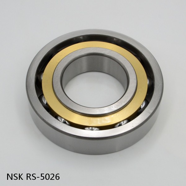 RS-5026 NSK CYLINDRICAL ROLLER BEARING #1 image